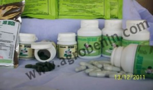 La spiruline : un aliment contre la malnutrition