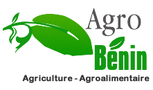 Agriculture et Agroalimentaire au Bénin