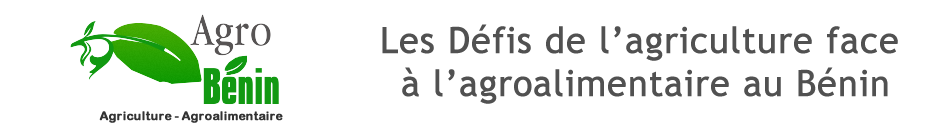Agriculture et Agroalimentaire au Bénin