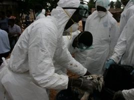 Incinération d'importante tête de volailles au TOGO