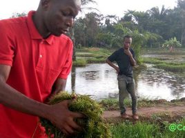 formation en agrobusiness pour les jeunes entrepreneurs béninois