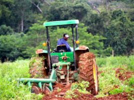 Agriculture Mécanisation Afrique CUMA BENIN