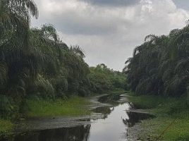 Rivière Noire d'Avrankou au Bénin