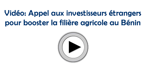 Pour booster la filière agricole au Bénin : Boni Yayi fait appel à des investisseurs étrangers