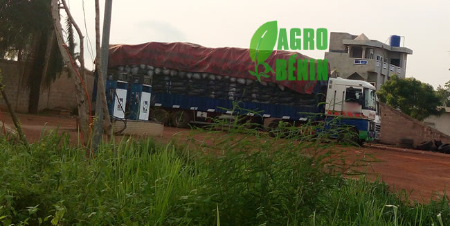 Camion chargé de charbon de bois