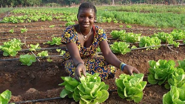 Jeune agriculteur