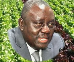 Le ministre de l’Agriculture de l’Élevage et de la Pêche, Gaston Cossi Dossouhoui