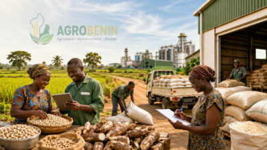 Producteurs, coopérative et usine agroalimentaire organisant l’approvisionnement en produits agricoles au Bénin